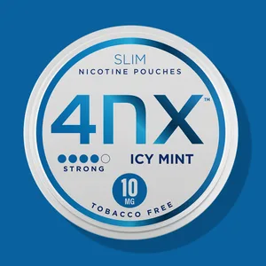 ICY MINT NICOTINE POUCHES 10MG Nicotine Pouch