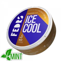 ICE COOL Mint 5 Nicotine Pouch