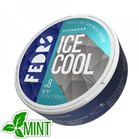 ICE COOL Mint 8 Nicotine Pouch