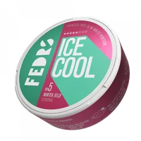 ICE COOL Winter Jelly 5 Nicotine Pouch