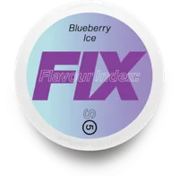 BLUEBERRY ICE S5 Nicotine Pouch