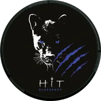HIT Blueberry Nicotine Pouch