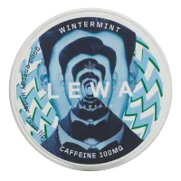Wintermint Nicotine Pouch