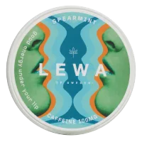 Spearmint Nicotine Pouch